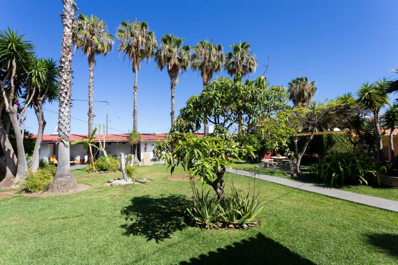 Finca La Gaviota - Maxi Icod De Los Vinos Dış mekan fotoğraf